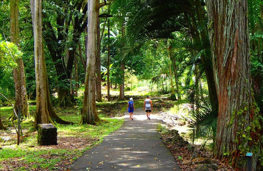 Ke'anae Arboretum, United States